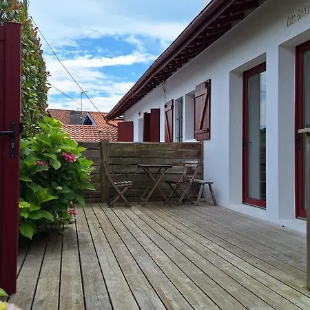 Casa Goldie Проживание в семье *